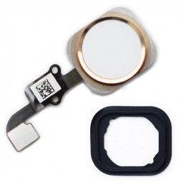 (OEM) iPhone 6 Plus Home Button Flexkabel + Home Button - Weiss / Gold