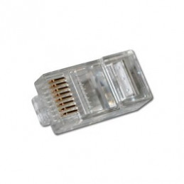 Stecker RJ45