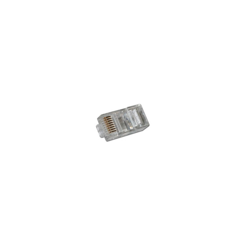 Stecker RJ45